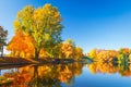 Autumn park nature. Colorful trees and lake in park. Fall scene. Beautiful clear autumn day Royalty Free Stock Photo