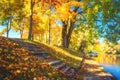 Autumn park in october. Yellow trees in forest. Fall scene. Autumnal nature landscape in sunlight Royalty Free Stock Photo