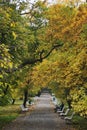 Autumn park in old prague. Autumn in Prague, favorite tourist destination Letna park Letenske sady, Czech Republic