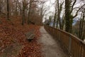 Autumn park outdoor empty for people scenic environment space with trail for walking and wooden bench for rest September fall Royalty Free Stock Photo