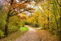 Autumn Park Path