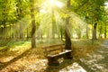 Autumn park with paths and bench. The sun rays illuminate Yellow Royalty Free Stock Photo