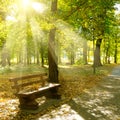 Autumn park with paths and bench. The sun rays illuminate Yellow leaves of trees Royalty Free Stock Photo