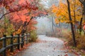 Autumn Park Pathway, Serene Fall Scenery Royalty Free Stock Photo