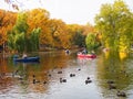 Autumn park. people boating on the pond where ducks swim on the background of beautiful colorful trees. Russia, Saratov- October,