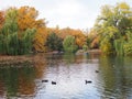 Autumn park. people boating on the pond where ducks swim on the background of beautiful colorful trees. Russia, Saratov- October,