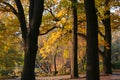 Autumn in the park, Poland Royalty Free Stock Photo