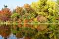 Autumn park and pond. yellow, red and green bushes and trees