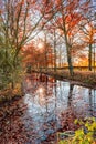 Autumn in the park with reflection of the sunset in the water. Royalty Free Stock Photo