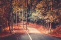 Autumn park road background. Beautiful landscape Royalty Free Stock Photo