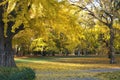 Autumn in the park Sad Janka Krala, city Bratislava, Slovakia