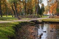 Autumn park with small lake and duck in Riga town, Latvia Royalty Free Stock Photo