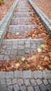 Autumn park stairs Royalty Free Stock Photo