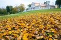 Autumn in the Park and on the streets. Ancient manor Royalty Free Stock Photo