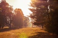 Autumn park, sunlight breaks through the colorful foliage on the trees Royalty Free Stock Photo