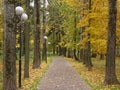 in the autumn Park on a Sunny day, Moscow Royalty Free Stock Photo