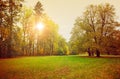 Autumn park with sunny glade and big Royalty Free Stock Photo