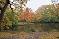 Autumn Park, surrounded by trees and a pond, ducks swim Royalty Free Stock Photo