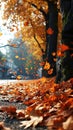 Autumn park with swirling yellow leaves Royalty Free Stock Photo