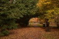 Autumn in the Park Szczytnicki in Poland Royalty Free Stock Photo