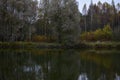 In the autumn Park there is a pond in the forest. Colorful forest on the banks