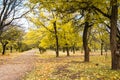 Autumn park trail landscape Royalty Free Stock Photo