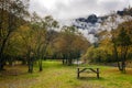 Autumn in the park