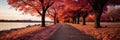 Autumn Park With Trees Dressed In Vibrant Red And Orange Hues