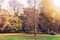 Autumn park with vintage look Royalty Free Stock Photo