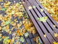 Autumn park. wooden bench and stone footpath covered with yellow fallen leaves Royalty Free Stock Photo