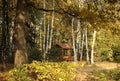 Autumn Park, Wooden Gazebo For Relaxing Among The Birches. Autumn Landscape