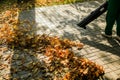 In the autumn park worker removes the road from the fallen leaves with help Royalty Free Stock Photo