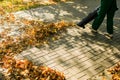 In the autumn park worker removes the road from the fallen leaves with help Royalty Free Stock Photo