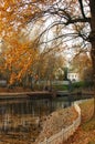 Autumn Park. Yellow trees bent over the pond. Fallen leaves. There is an old building in the distance. Autumn landscape