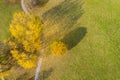 Autumn park. yellow trees with long shadows and fallen leaves on green grass lawn. drone photo Royalty Free Stock Photo