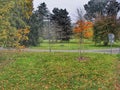 Autumn Parkside view