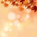 Autumn Pastel Color Bokeh Background
