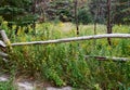 Wooden fence along the trail near a forest Royalty Free Stock Photo