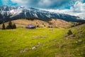 Autumn pasture scenery with snowy mountains in background, Transylvania, Romania Royalty Free Stock Photo