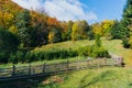 Autumn pasture and tree nursery Royalty Free Stock Photo