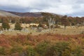 Autumn in Patagonia, Chile