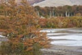 Autumn in Patagonia, Chile