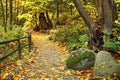 Autumn path Royalty Free Stock Photo