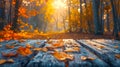 Autumn Path Blanketed with Fallen Leaves, Sun Peeking Through Trees. Peaceful, Rustic Woodland Scene in Fall. Wood