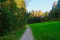 autumn path in the forest in Abramtsevo estate, Moscow region, Russia