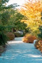 Autumn path through the Frederik Meijer Gardens