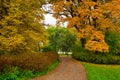 Autumn Path Lined with Golden and Orange Trees Royalty Free Stock Photo