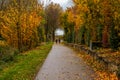 Autumn path with two cyclists Royalty Free Stock Photo