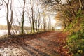 Autumn Pathway. Co.Cork, Ireland. Royalty Free Stock Photo