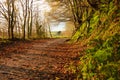 Autumn Pathway. Landscape with the autumnal forest. Royalty Free Stock Photo